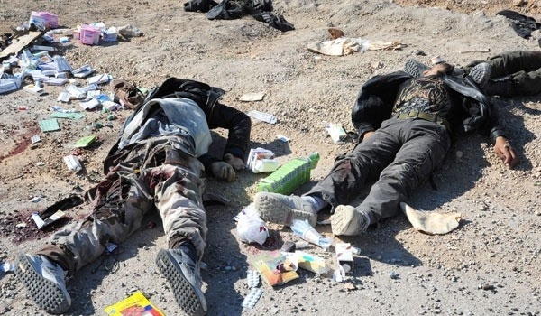 Photo of Locals Kill more than 50 Terrorists in Syria