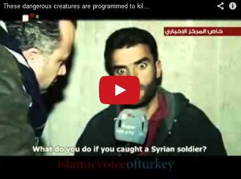 Photo of Video- These dangerous creatures are programmed to kill People by…