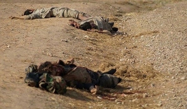 Photo of Over 20 Terrorists Killed in Clashes with Kurdish Fighters North of Syria