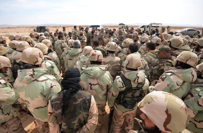 Photo of Who are the Syrian Desert Hawks?