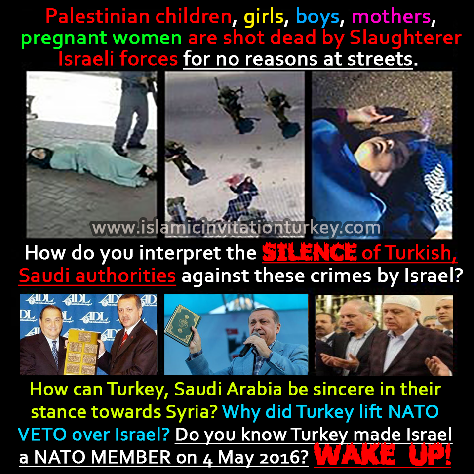 Photo of How do you interpret the SILENCE of Turkish, Saudi authorities against these crimes by Israel?