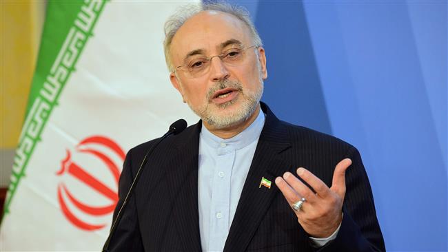 Photo of Israeli nukes threaten region stability, NPT credibility: Iran nuclear chief