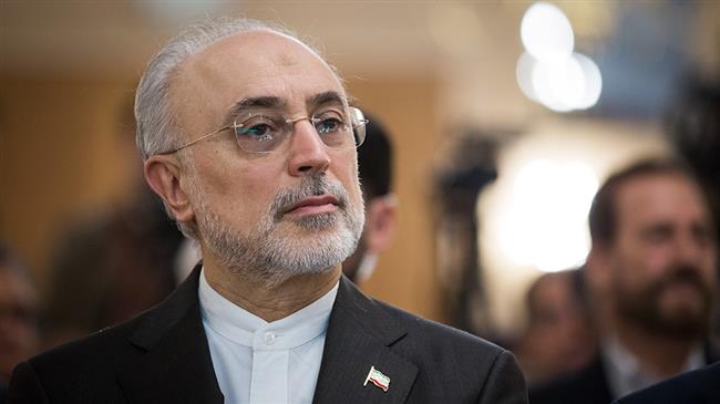 Photo of Iran’s response readiness will startle US if it pulls out of JCPOA: Salehi